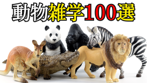 動物の面白い雑学
